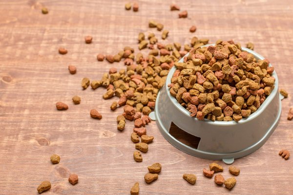 Chassez le doute : choisir ses croquettes canines